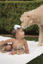 Doodle Stuffed Animal and Blanket