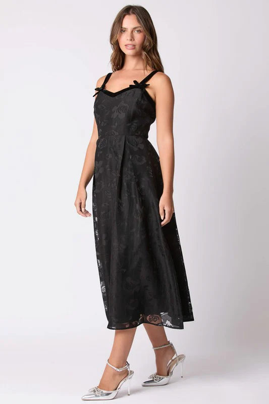 Floral Jacquard Organza Dress (Black)