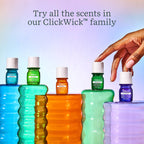 Plant Diffuser - Succulent - Two Toned