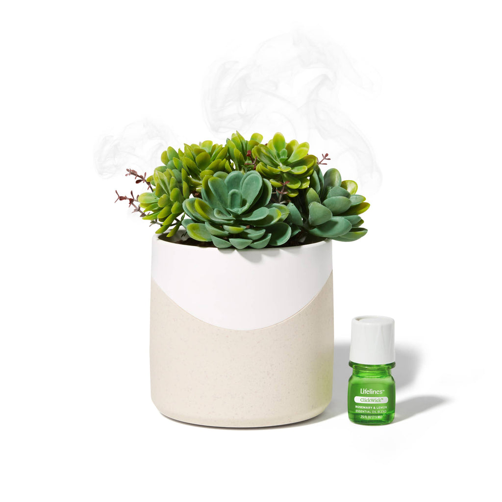 Plant Diffuser - Succulent - Two Toned