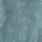 Origami Dinos Boy Tee & Shorts Set