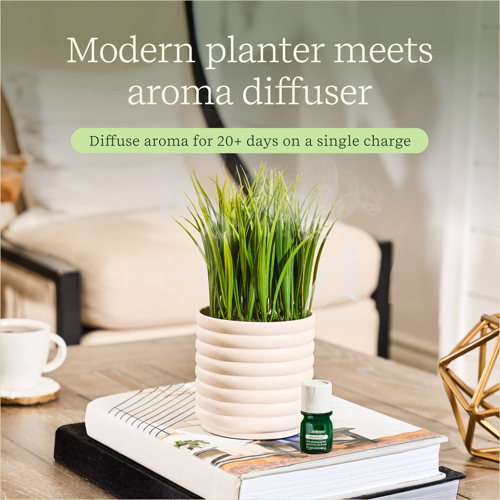 Plant Diffuser -  Grass Plant - Bubble White