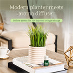 Plant Diffuser -  Grass Plant - Bubble White