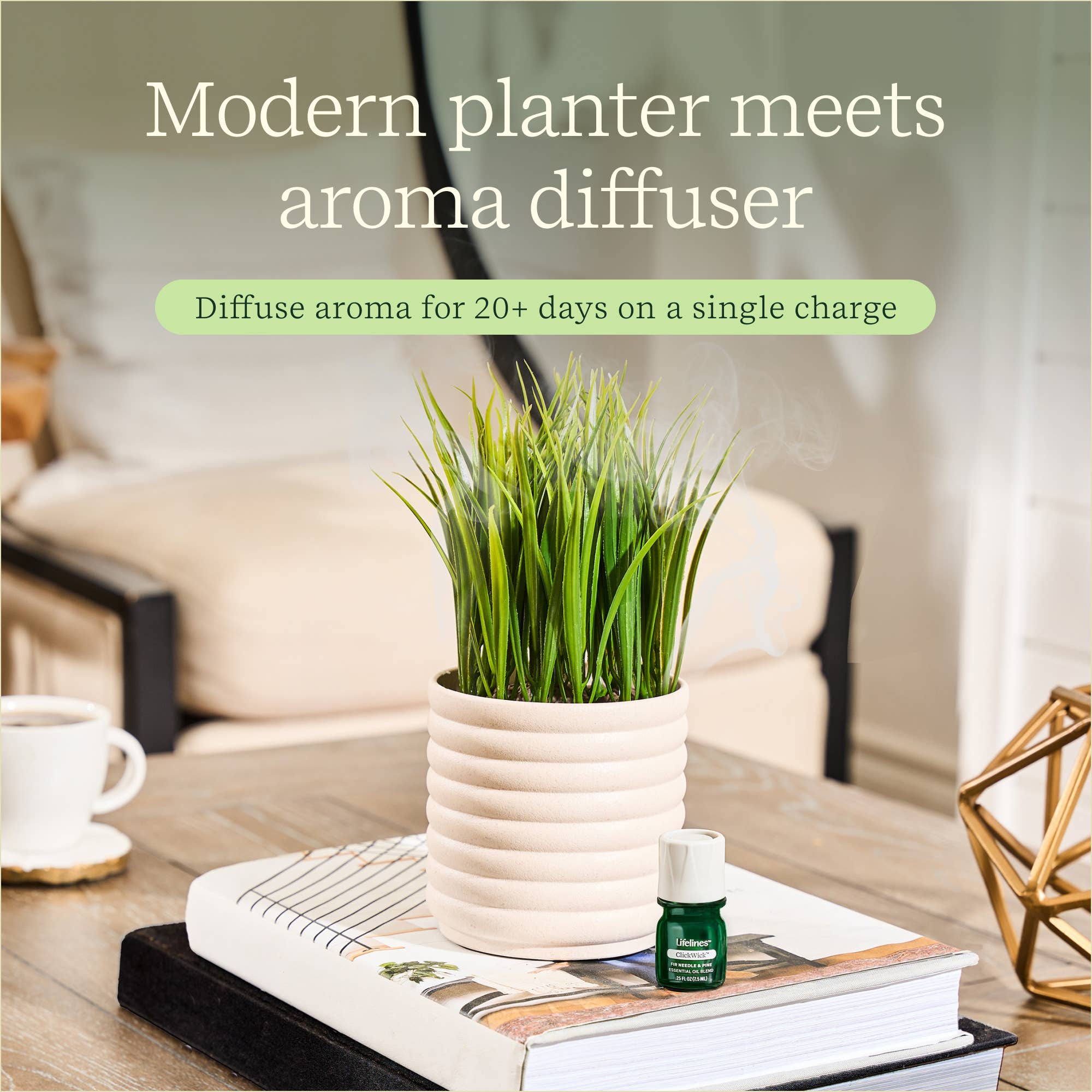 Plant Diffuser -  Grass Plant - Bubble White